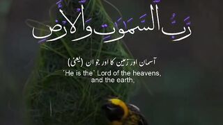 Quran