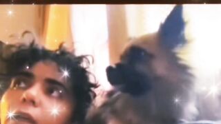 خلى عينك على الكلب