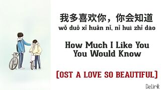 I Like You So Much, You’ll Know It lyrics sub indonesian