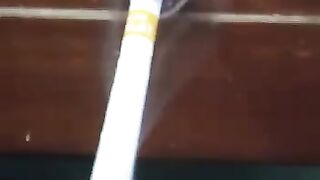 Cute gecko is smoking
