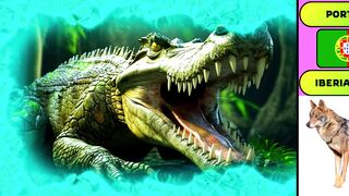 World's Most Dangerous Animals 2024