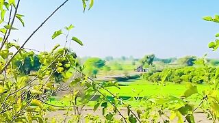 Ahmed khan