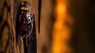 Snakes security vaults in ancient period