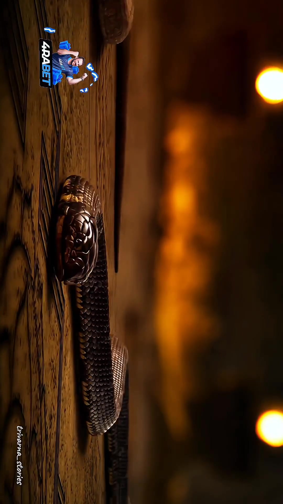 Snakes security vaults in ancient period febspot