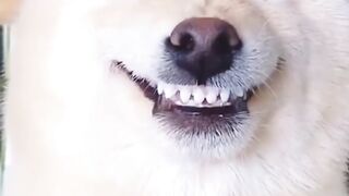 what type of smile do you like .. ????