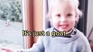 It's a fu***ng goat