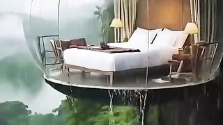 status,status video,status song,status whatsap,beast song,good song,video,natural