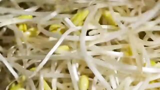 spicy seafood noodle korea