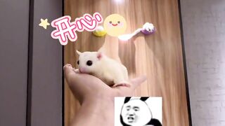 又生了…