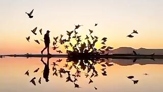 status,status video,status song,status whatsap,beast song,good song,video,natural