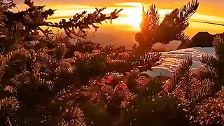 status,status video,status song,status whatsap,beast song,good song,video,natural