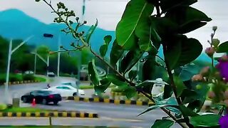 status,status video,status song,status whatsap,beast song,good song,video,natural