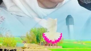 How this my video shaheed Binazir Bhutto