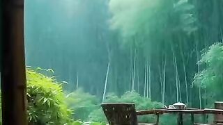 status,status video,status song,status whatsap,beast song,good song,video,natural