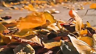 status,status video,status song,status whatsap,beast song,good song,video,natural