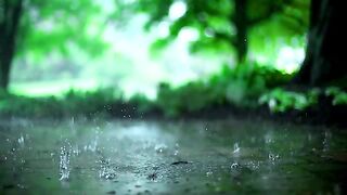 Rain Stock Footage