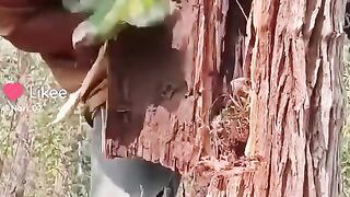 Funny bee
