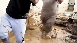 The end ???????????? #viral #shorts #fails #funny #fail