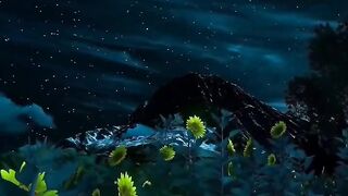 amazon nature video