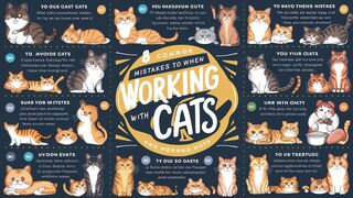 Avoid These 8 CAT Mistakes