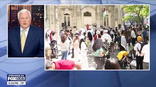 Protesters gather to honor Palestinian mothers in Chicago on Mother's Day