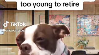 FUNNY RELETABLE WORK MEMES