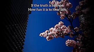 Amazing Seen Video