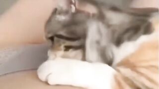 Trending video