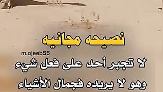 نصيحه مجانيه