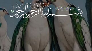 Al Quran Masha Allha