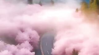 status,status video,status song,status whatsap,beast song,good song,video,natural