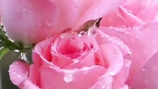Beautiful nature