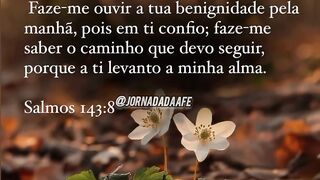 Jornada da fé