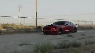 High Desert Devil Roush Mustang