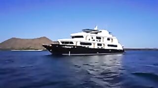 Golden Galapagos Petrel Luxury Cruise