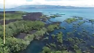 Golden Galapagos Cruises