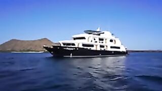 MC Petrel Galapagos Cruise The Breeze of the Sea