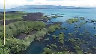Golden Galapagos Cruises
