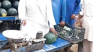 Program to var ga
