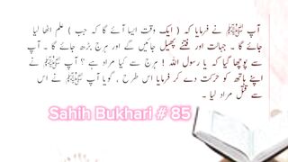 Sahih Bukhari # 85