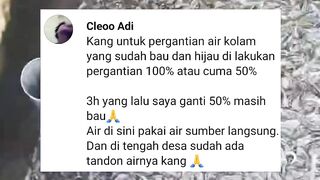 Cara GANTI air kolam itu 20%, 50%, atau semuanya❓