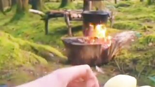Making a tasty food in the forest