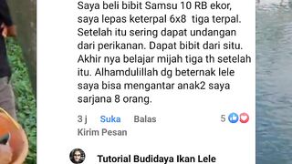 Usaha TERNAK LELE bisa sekolahkan 8 anak sampai SARJANA.. Amazing banget