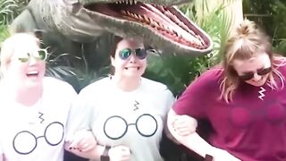Big Fail Funny Video