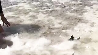 Giant mudcrab hunter