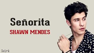 Señorita - Shawn Mendes & Camila Cabello lyrics sub indonesian
