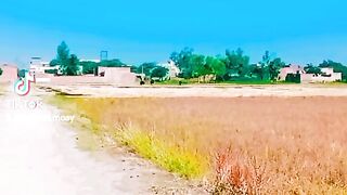 Beautiful video