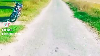 Beautiful video