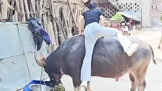 shorts||funny||funny shorts||short||funny videos||funny comedy shorts