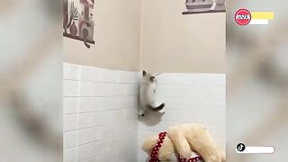fun 2